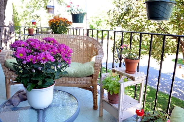 1st day of Spring  is March 19 - spruce up your balconies!!!